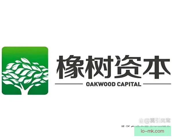 橡树资本成功收购国际米兰开启俱乐部新篇章